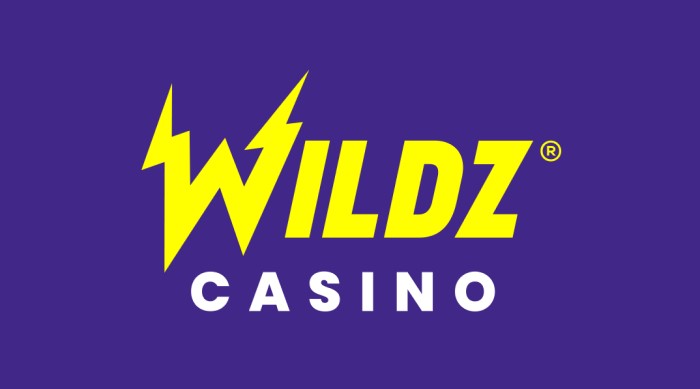 wildz casino icon